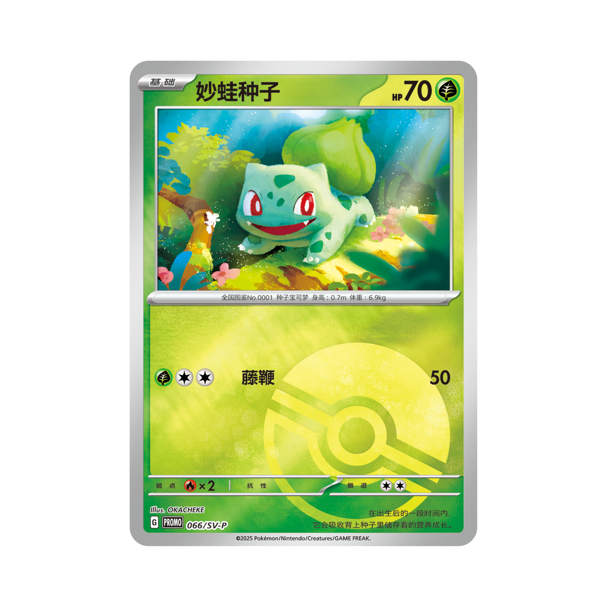 CHINESE (Simplified) - Pokémon First Starter 151C Display Box