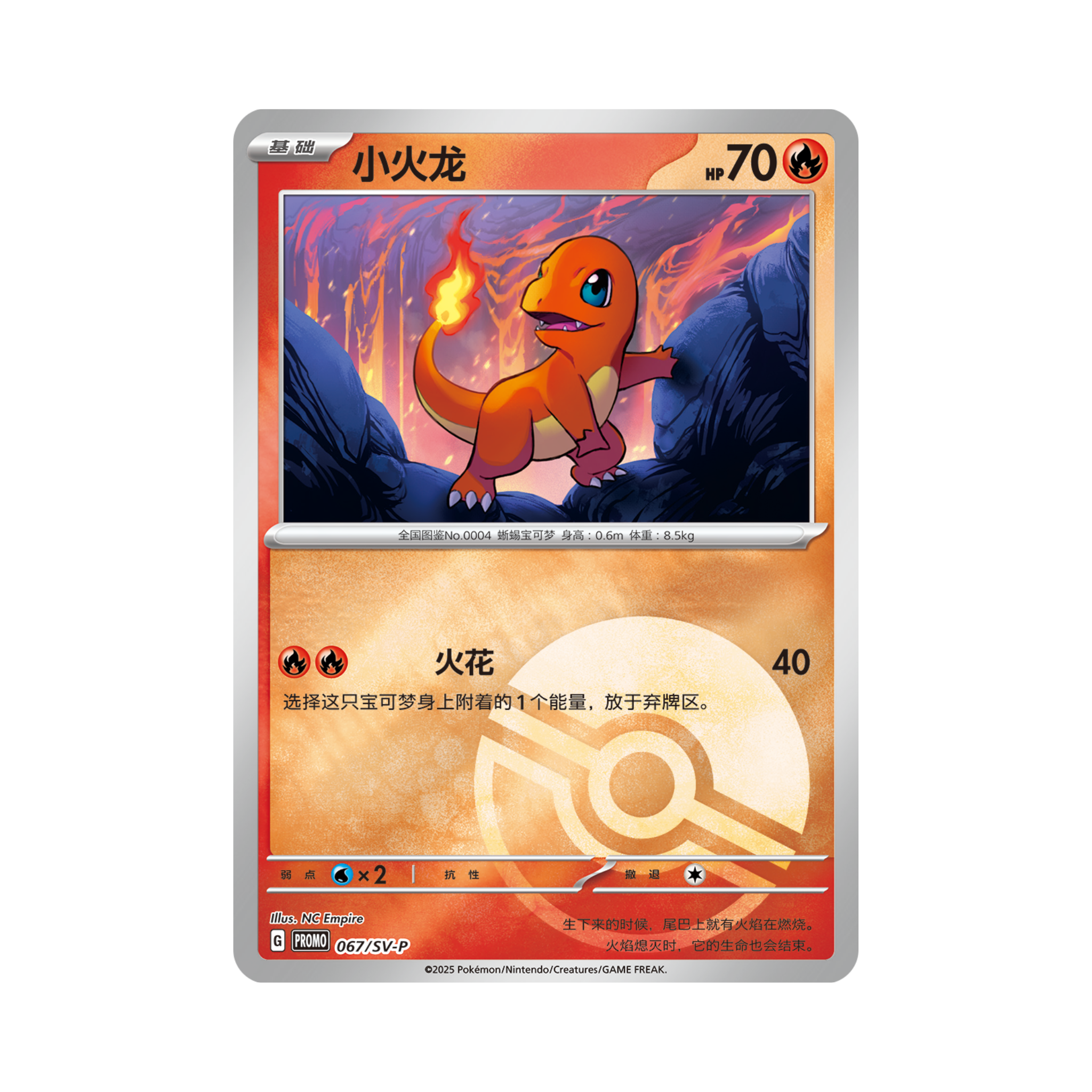 CHINESE (Simplified) - Pokémon First Starter 151C Display Box