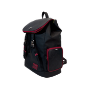 LOUNGEFLY - Collectiv Pokémon the Collectr Backpack