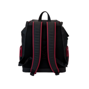 LOUNGEFLY - Collectiv Pokémon the Collectr Backpack