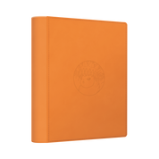 CHINESE (Simplified) - Terastal Gathering ex Collector's Card Album Gift Box