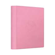 CHINESE (Simplified) - Terastal Gathering ex Collector's Card Album Gift Box