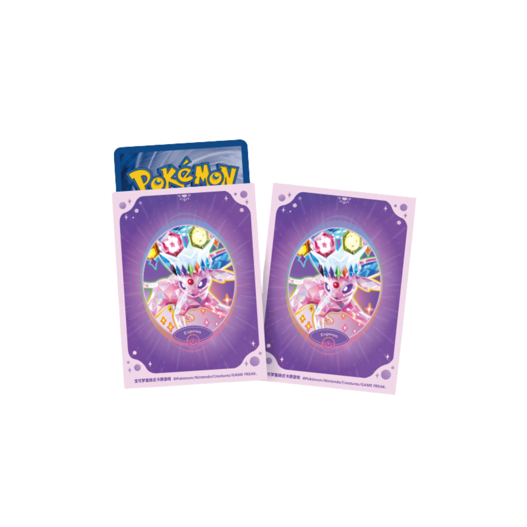 CHINESE (Simplified) - Terastal Gathering ex Collector's Card Album Gift Box