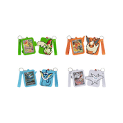 Bundle - Eevee & Charizard Display Box Bundle